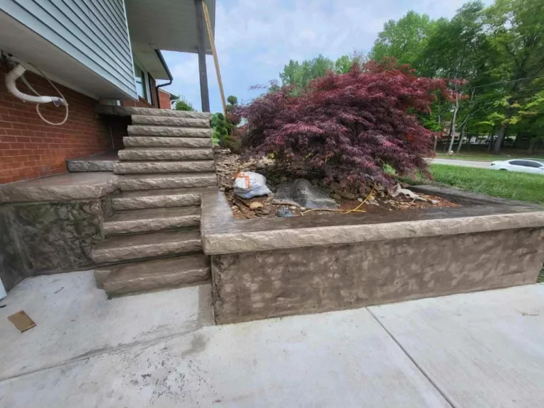 Concrete steps and retaining wall beside a Japanese maple tree